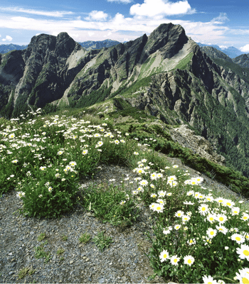 水里梅子夢工廠（手機版）