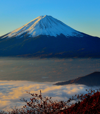 DAY 5 行程圖片（手機版）