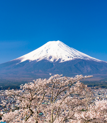 富士山全景