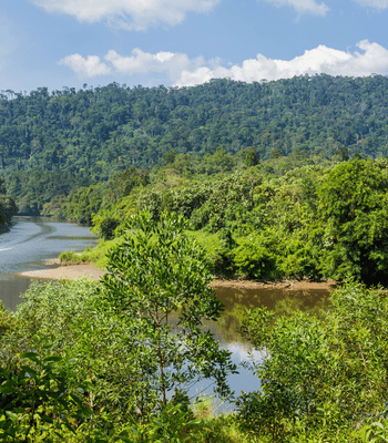 烏魯淡武廊國家公園