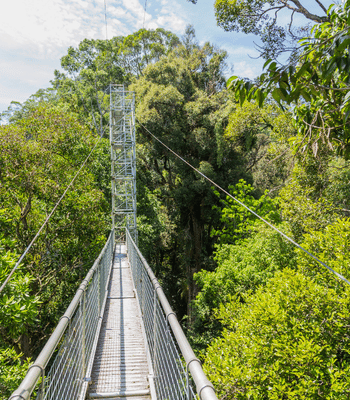 DAY 2 行程圖片（手機版）