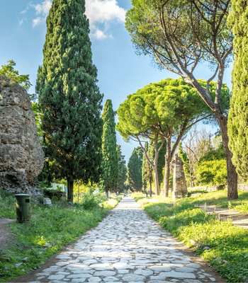 第十一天手機版
