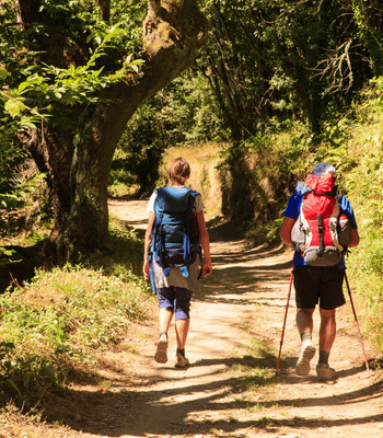 精緻小團 雙領隊制