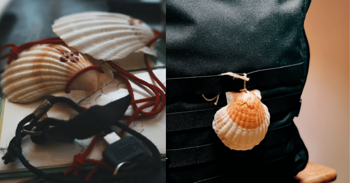 朝聖之旅必備扇貝殼