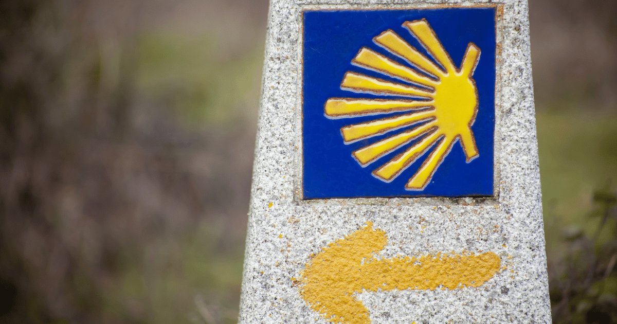 跟著黃色箭頭指標走