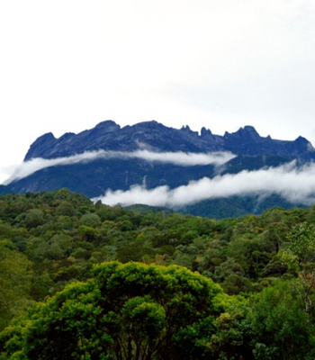 DAY 2 行程圖片（手機版）