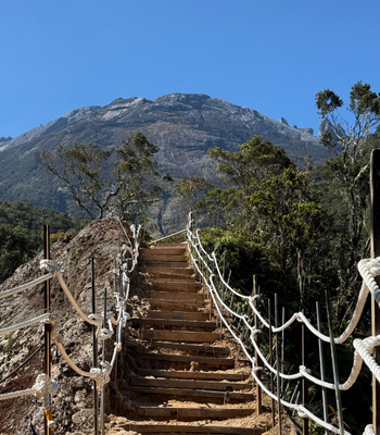 DAY 3 行程圖片（手機版）