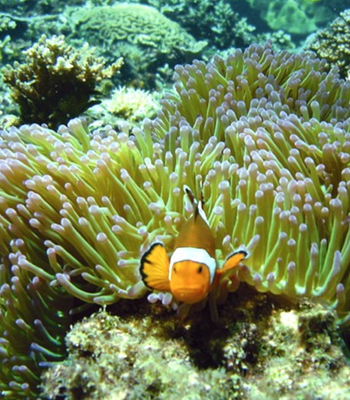 DAY 5 行程圖片（手機版）